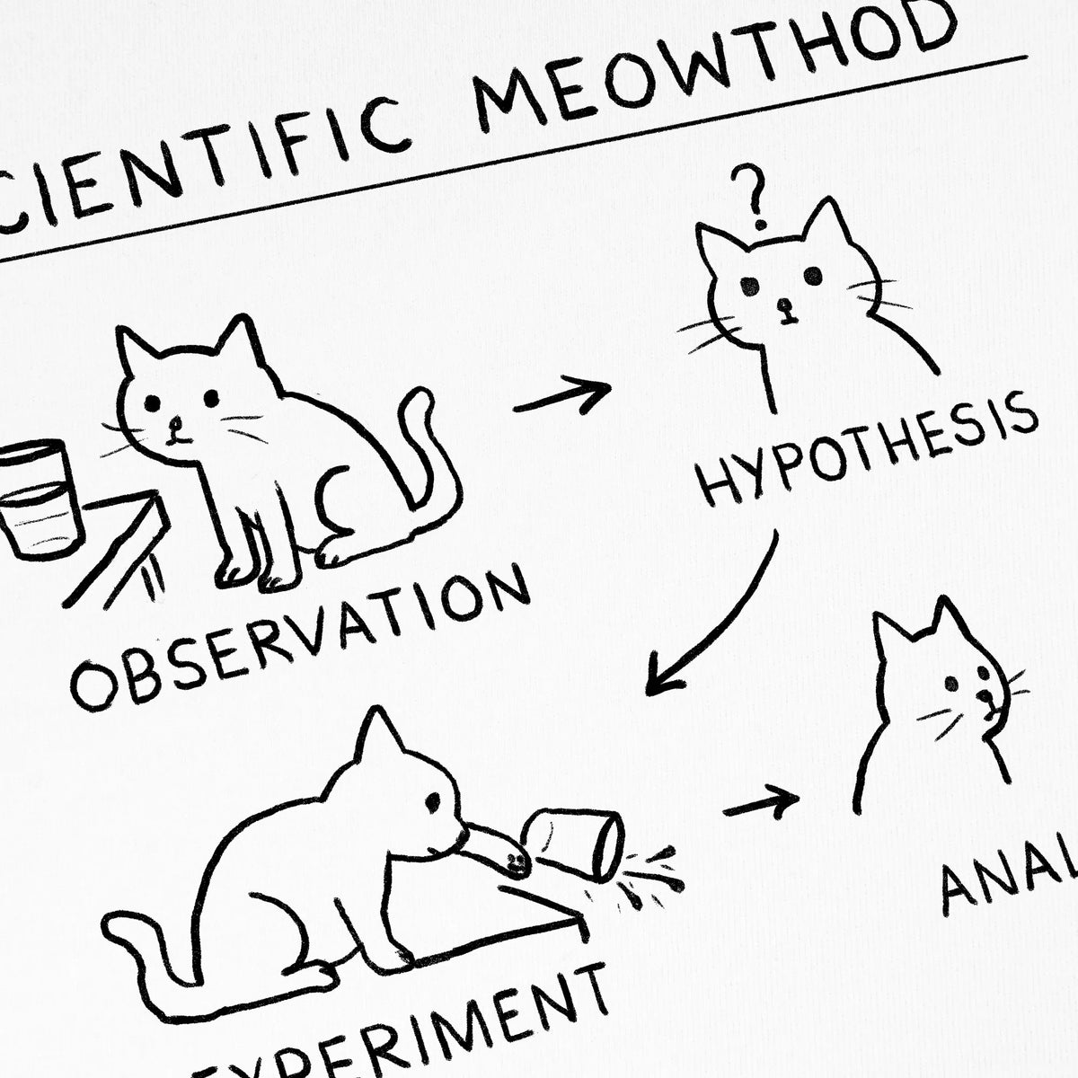 Camiseta manga corta Scientific Meowthod blanco clásico