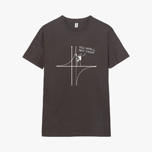 Camiseta manga corta You Shall Not Pass gris carbón