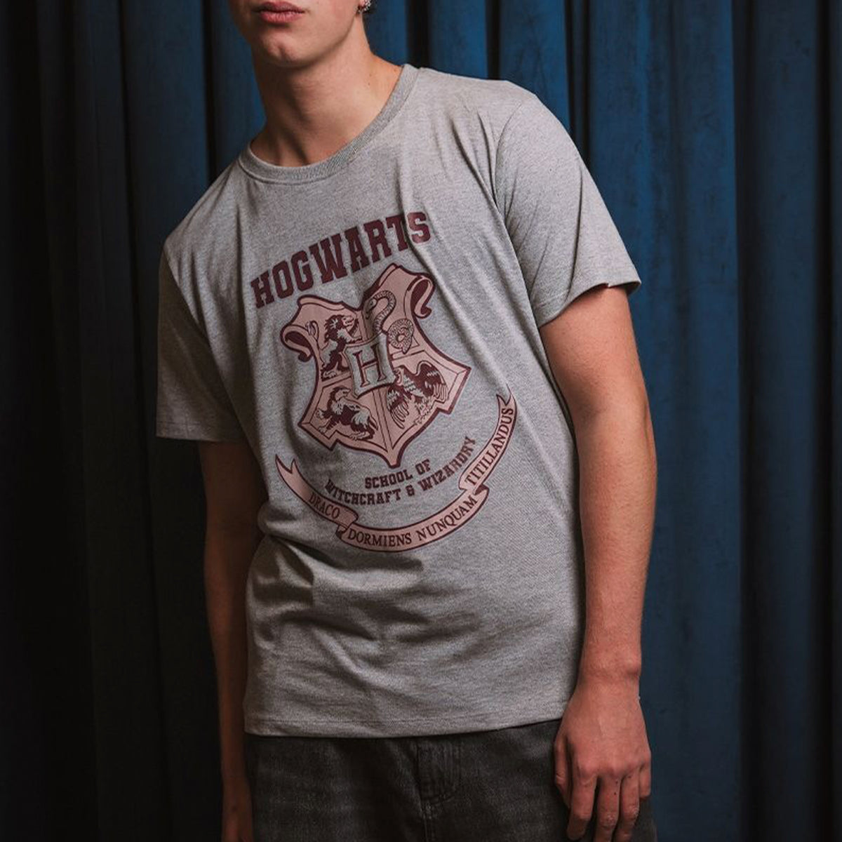 Camiseta manga corta con licencia Harry Potter Hogwarts Crest