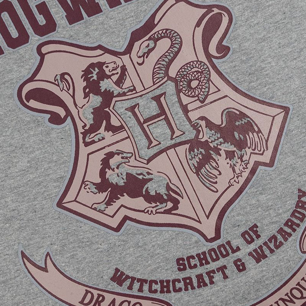 Camiseta manga corta con licencia Harry Potter Hogwarts Crest
